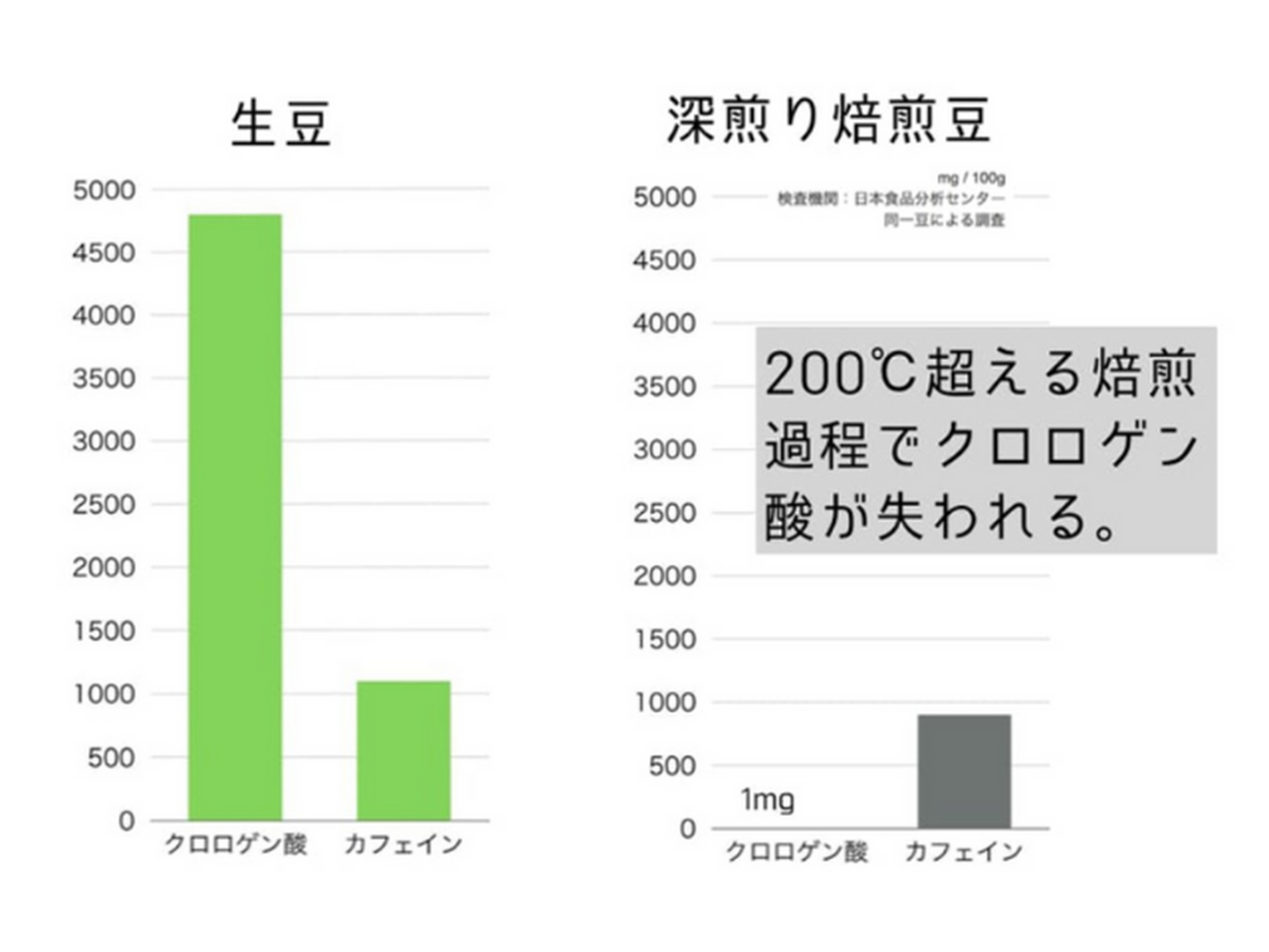 グリーンコーヒー『ミドリノタネ』お試しパック4杯分 -送料無料-