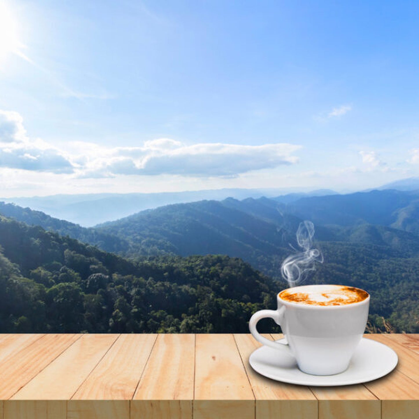 【ギフト用】グリーンコーヒー瓶『ミドリノタネ』 20g(20杯分) -送料無料-